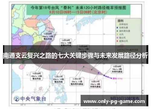 南通支云复兴之路的七大关键步骤与未来发展路径分析