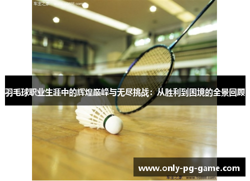 羽毛球职业生涯中的辉煌巅峰与无尽挑战：从胜利到困境的全景回顾