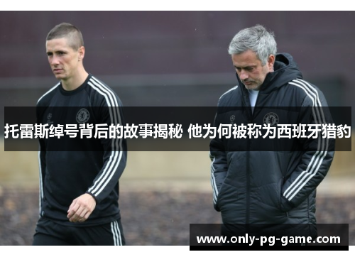 托雷斯绰号背后的故事揭秘 他为何被称为西班牙猎豹