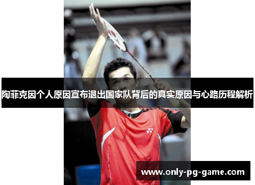 陶菲克因个人原因宣布退出国家队背后的真实原因与心路历程解析